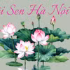 Lễ hội Sen Hà Nội 2026: Hội tụ tinh hoa văn hóa và sáng tạo từ hoa sen