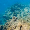 Rạn san hô Great Barrier tại Queensland, Australia. (Nguồn: THX/TTXVN)