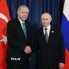 Tổng thống Nga Vladimir Putin và Tổng thống Thổ Nhĩ Kỳ Recep Tayyip Erdogan tại cuộc gặp bên lề Hội nghị Thượng đỉnh SCO ở Thiên Tân, Trung Quốc, ngày 1/9/2025. (Nguồn: Anadolu Agency/TTXVN)