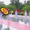 Lãnh đạo Đảng, Nhà nước dâng hương các Anh hùng liệt sỹ và Chủ tịch Hồ Chí Minh.