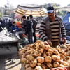 Trẻ tị nạn Syria cùng người thân nghỉ tạm tại khu vực biên giới với Liban ngày 12/12/2024. (Ảnh: THX/TTXVN)