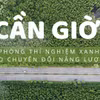 Cần Giờ - “phòng thí nghiệm xanh” cho chuyển đổi năng lượng