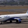 Máy bay của hãng hàng không IndiGo. (Nguồn: Reuters)