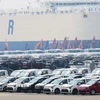 Ôtô chờ xuất khẩu tại cảng ở Pyeongtaek, phía nam thủ đô Seoul, Hàn Quốc. (Nguồn: Yonhap/TTXVN)