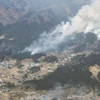 Khói bốc lên từ đám cháy rừng ở Ofunato, tỉnh Iwate, Nhật Bản, ngày 28/2/2025. (Ảnh: Kyodo/TTXVN)