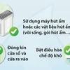Bí quyết giữ nhà cửa khô ráo khi trời nồm ẩm