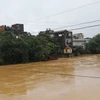 Tuy lượng mưa đã giảm nhưng mực nước sông Cầu tại Trạm thủy văn Gia Bảy rạng sáng nay vẫn ở mức cao. (Ảnh: Hoàng Nguyên/TTXVN)
