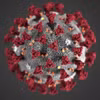 Giới khoa học trấn an về thông tin chủng virus corona mới 