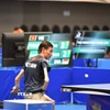 Vận động viên Phạm Thế Tiến giành chiến thắng 3-1 trước đối thủ Indonesia ở bán kết bóng bàn đơn nam để vào tranh chung kết ngày 23/1. (Nguồn: TTXVN phát)
