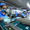 Việt Nam xuất khẩu sang New Zealand gồm các sản phẩm điện thoại các loại và linh kiện, máy vi tính, sản phẩm điện tử và linh kiện, thủy sản, hạt điều, giày dép. Trong ảnh: Sản xuất, gia công linh kiện đo lường nhiệt độ tại Công ty Trách nhiệm hữu hạn Sankoh Việt Nam. (Ảnh: Tuấn Anh/TTXVN)