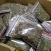 Ma túy cần sa được ngụy trang thành hàng hóa thông thường để vận chuyển. (Ảnh: TTXVN phát)