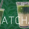 Tình trạng thiếu hụt matcha toàn cầu trở nên nghiêm trọng. (Nguồn: Vietnam+)