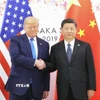Chủ tịch Trung Quốc Tập Cận Bình (phải) trong cuộc gặp Tổng thống Mỹ Donald Trump tại Osaka, Nhật Bản ngày 29/6/2019. (Nguồn: THX/TTXVN)
