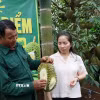 Chiến dịch cao điểm “30 ngày đêm” số hóa, chuẩn hóa, cập nhật và kết nối dữ liệu mã số vùng trồng, cơ sở đóng gói sầu riêng tại Đắk Lắk diễn ra từ ngày 7/8-7/9/2026. (Ảnh: TTXVN phát)