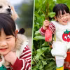 Gương mặt bầu bĩnh cùng những biểu cảm đáng yêu của Yaoyao nhanh chóng trở thành hiện tượng mạng, tạo ra vô số meme được chia sẻ rộng rãi. (Nguồn: SCMP)