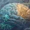 Ảnh minh họa. (Nguồn: Neuroscience News)
