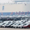 Ôtô chờ xuất khẩu tại cảng ở Pyeongtaek, phía nam thủ đô Seoul, Hàn Quốc. (Nguồn: Yonhap/TTXVN)