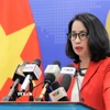 Người phát ngôn Bộ Ngoại giao Phạm Thu Hằng trả lời câu hỏi của các cơ quan báo chí trong nước và quốc tế. (Ảnh: An Đăng/TTXVN)