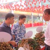 Người dân, du khách tham quan, mua sắm nhãn tại phiên chợ. (Ảnh: Mạnh Khánh/TTXVN)