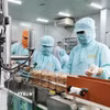 Đóng gói nhân điều xuất khẩu tại Công ty LAFOOCO. (Ảnh: Minh Hưng/TTXVN)