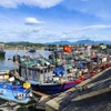 Các tàu thuyền đánh bắt thủy sản. (Nguồn: TTXVN phát)