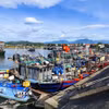 Các tàu thuyền đánh bắt thủy sản trên địa bàn xã Quảng Đức, tỉnh Quảng Ninh. (Nguồn: TTXVN phát)