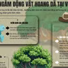 7 điểm ngắm động vật hoang dã tại Việt Nam