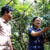 Khách hàng tham quan vườn nhãn của gia đình ông Bùi Xuân Sử (trái) xã Tân Hưng, tỉnh Hưng Yên. (Ảnh: Đinh Văn Nhiều/TTXVN)