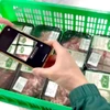 Nhân viên Hợp tác xã Hoàng Long quét mã QR trên bao bì sản phẩm để nhập liệu vào hệ thống truy xuất nguồn gốc. (Ảnh: Anh Đức/Vietnam+)