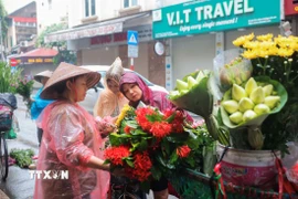 Thời tiết tại nhiều địa phương trong dịp nghỉ lễ 30/4-1/5 dự báo có mưa rào và dông. (Ảnh minh họa. Nguồn: TTXVN)