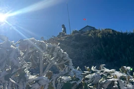 Các đợt rét đậm, rét hại tập trung trong tháng 2/2026. (Ảnh: CTV/Vietnam+)