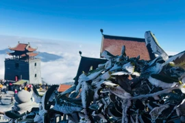 Băng giá phủ trắng đỉnh Fansipan. 