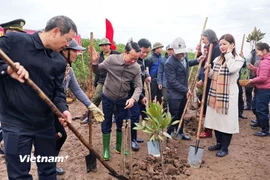 Bộ trưởng Bộ Tài nguyên và Môi trường Đỗ Đức Duy cùng lãnh đạo Ủy ban Nhân dân tỉnh Thái Bình và các đại biểu trồng cây tại Khu Bảo tồn thiên nhiên đất ngập nước Thái Thụy. (Ảnh: Hùng Võ/Vietnam+)