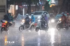 (Ảnh minh họa. Minh Quyết/TTXVN)