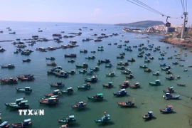 Cả nước đã có hơn 28.000 tàu cá lắp đặt VMS, chiếm hơn 99% số tàu phải lắp đặt theo quy định. (Nguồn: TTXVN)