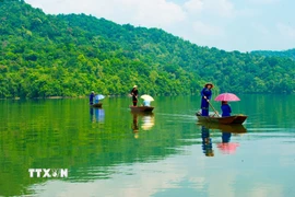 Việt Nam nhận gần 1.900 tỷ USD từ Quỹ khí hậu xanh cho dự án giảm phát thải rừng. (Nguồn ảnh: TTXVN)