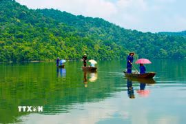 Việt Nam nhận gần 1.900 tỷ USD từ Quỹ khí hậu xanh cho dự án giảm phát thải rừng. (Nguồn ảnh: TTXVN)