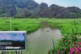 Bảo tồn thiên nhiên và đa dạng sinh học. (Ảnh: Hoài Nam/Vietnam+)