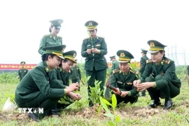 Nữ cán bộ, chiến sĩ Bộ đội Biên phòng tỉnh Quảng Trị hưởng ứng Tết trồng cây Xuân Bính Ngọ năm 2026. (Ảnh: Võ Dung/TTXVN)
