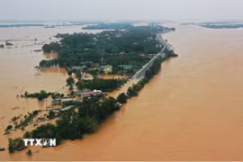 (Ảnh minh họa. Nguồn: TTXVN)
