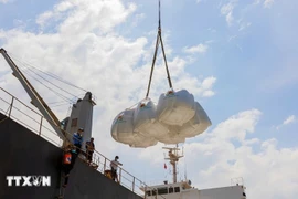 Giá gạo xuất khẩu của Việt Nam có thời điểm đã chạm mức cao nhất kể từ đầu năm. (Ảnh: Công Mạo/TTXVN)