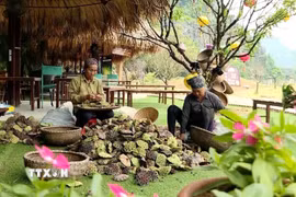 Cần biến nông thôn thành vùng đáng sống, giữ chân lực lượng lao động trẻ xây dựng quê hương. (Ảnh: TTXVN)