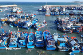 Phát triển kinh tế biển xanh bền vững. (Ảnh: Hoài Nam/Vietnam+)