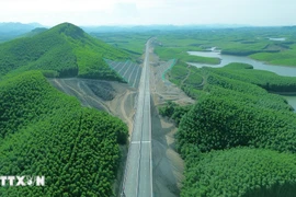 Cao tốc Vạn Ninh-Cam Lộ xuyên qua cánh rừng. (Ảnh: Quốc Khánh/TTXVN)