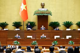 Quang cảnh phiên họp. (Ảnh: Doãn Tấn/TTXVN)