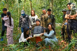 Nỗ lực phục hồi các loài hoang dã chủ chốt, bản địa, tái lập các mắt xích sinh thái quan trọng, khôi phục các quá trình sinh thái tự nhiên. (Ảnh: Cục LNKL)