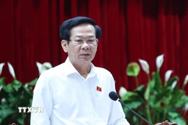 Ông Đỗ Thanh Bình. (Nguồn ảnh: TTXVN)