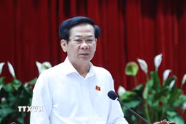 Ông Đỗ Thanh Bình. (Nguồn ảnh: TTXVN)
