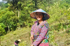 (Ảnh minh họa. Nguồn: PanNature)