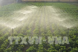 Khung pháp lý chung cho thị trường carbon ở Việt Nam đã tương đối đầy đủ để vận hành. (Ảnh minh hoạ. Nguồn: TTXVN)